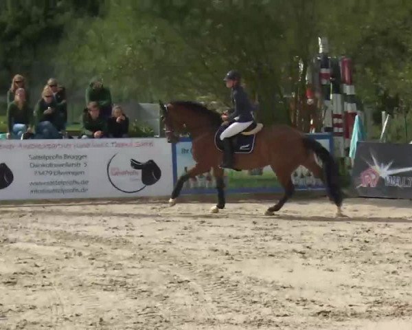HORSE classics Killingen 2016