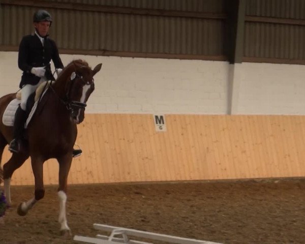 Reitturnier Datteln 2016