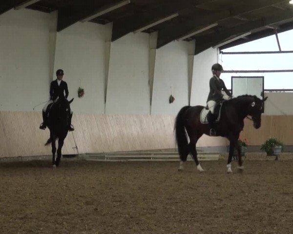 Reitturnier Datteln 2016