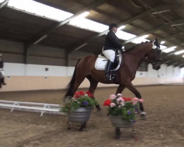 Reitturnier Datteln 2016