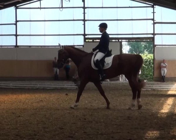 Reitturnier Datteln 2016