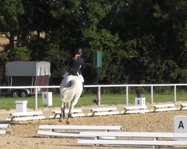 Reitturnier Menden 2016