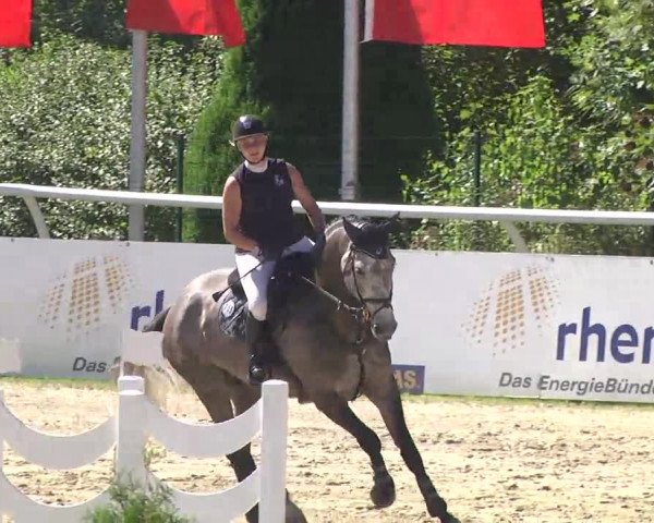 Summermeeting der Springreiter Hachenburg 2016