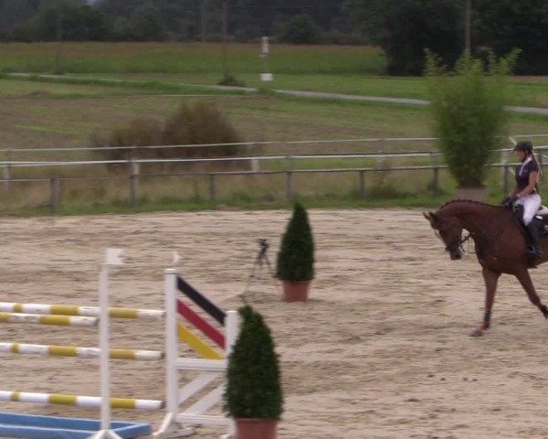 Sommerturnier Altenberge 2016