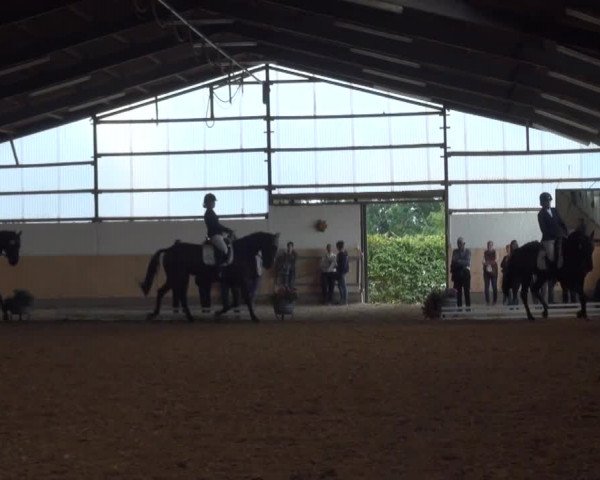 Reitturnier Datteln 2016