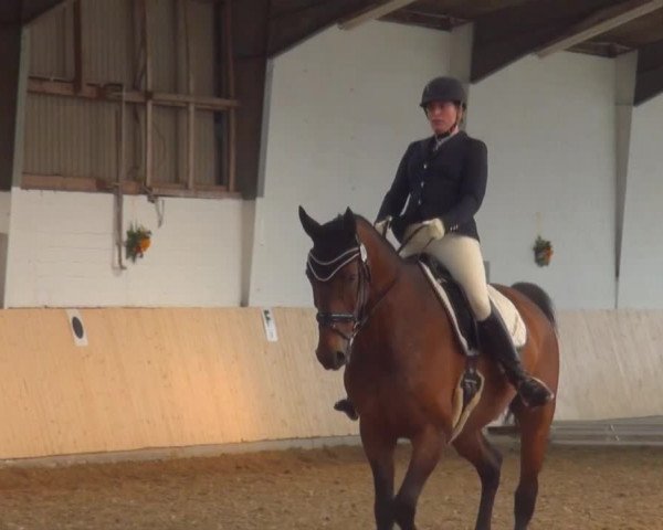 Reitturnier Datteln 2016
