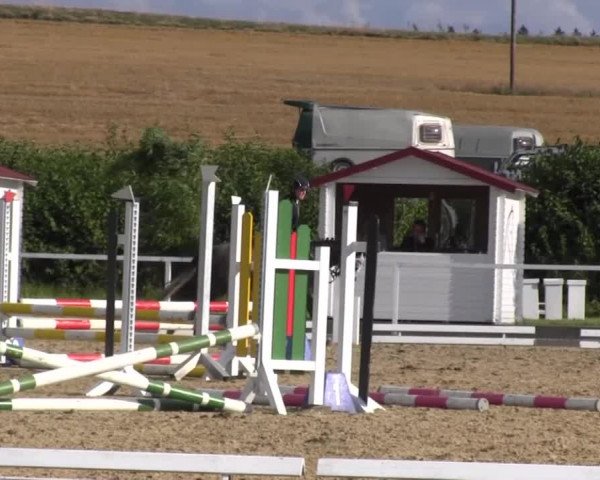 Reitturnier Menden 2016