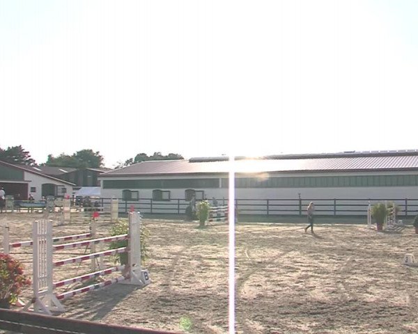 Ride turnering HH-Klein Offenseth/Hell-Stallion-Stud 2016