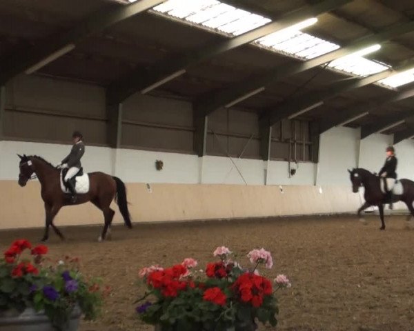 Reitturnier Datteln 2016
