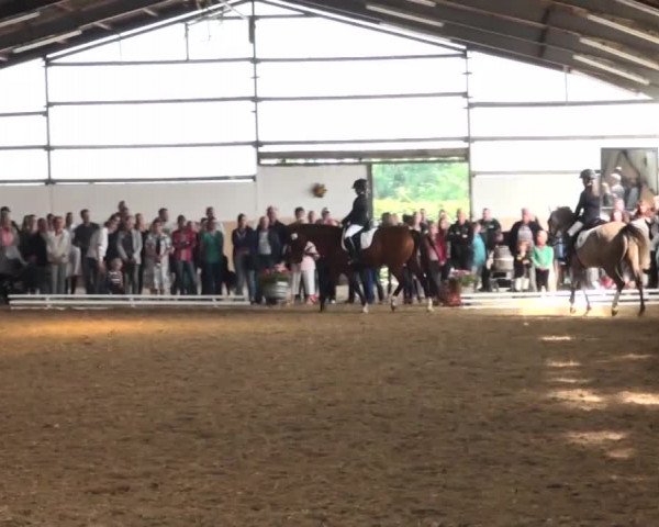 Reitturnier Datteln 2016