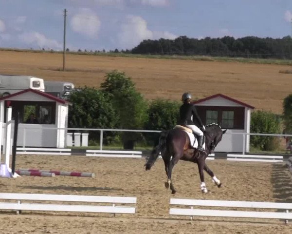 Reitturnier Menden 2016