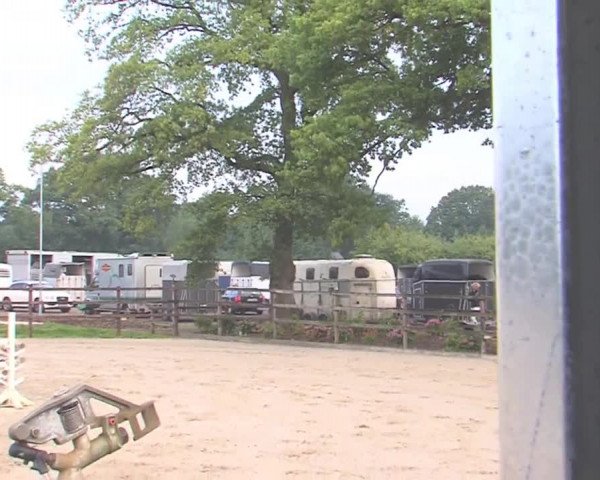 Reitturnier HH-Klein Offenseth/Hell-Stallion-Stud 2016