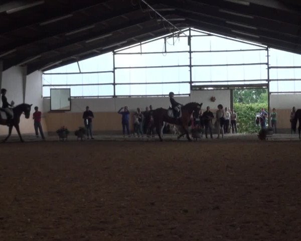 Reitturnier Datteln 2016