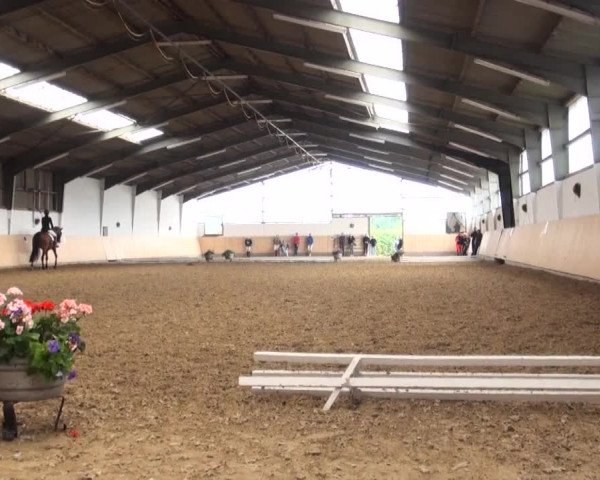 Reitturnier Datteln 2016