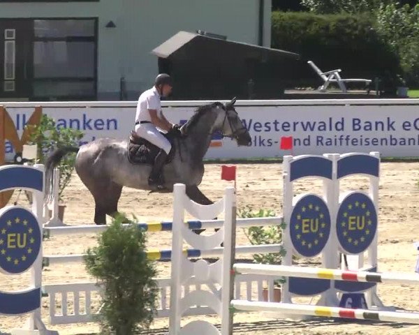 Summermeeting der Springreiter Hachenburg 2016