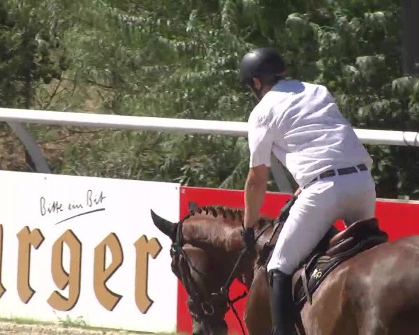 Summermeeting der Springreiter Hachenburg 2016