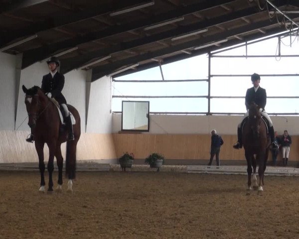 Reitturnier Datteln 2016