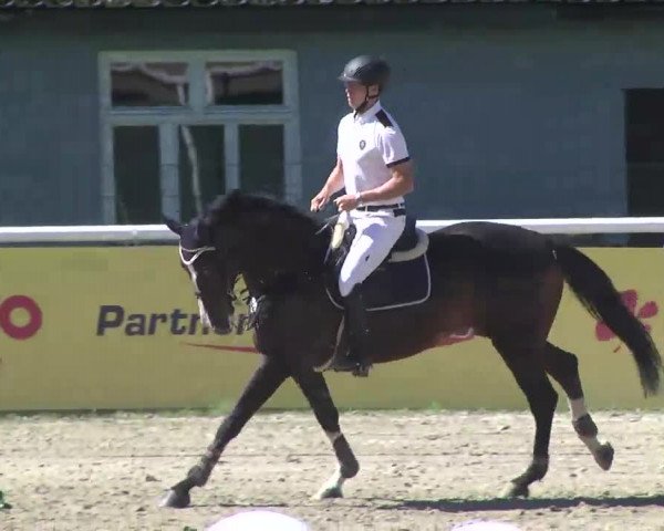 Summermeeting der Springreiter Hachenburg 2016