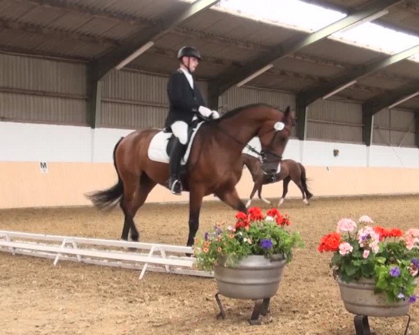 Reitturnier Datteln 2016