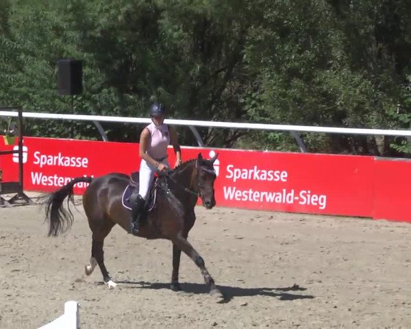 Summermeeting der Springreiter Hachenburg 2016