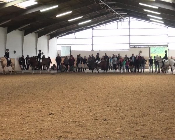 Reitturnier Datteln 2016
