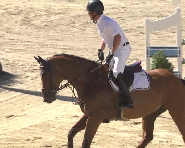Summermeeting der Springreiter Hachenburg 2016