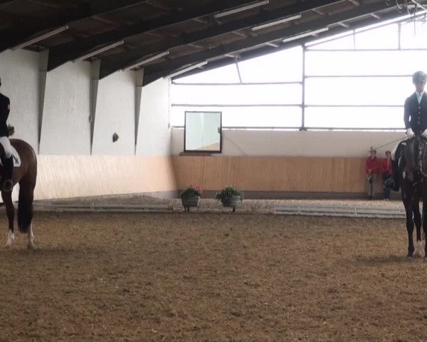 Reitturnier Datteln 2016