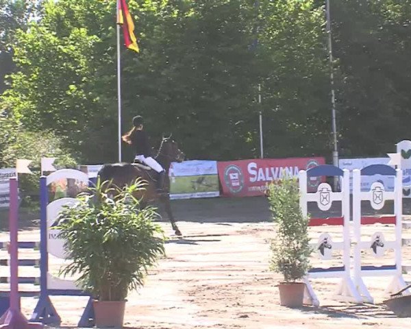 Reitturnier Tangstedt/Pinneberg 2016