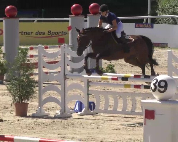 Summermeeting der Springreiter Hachenburg 2016