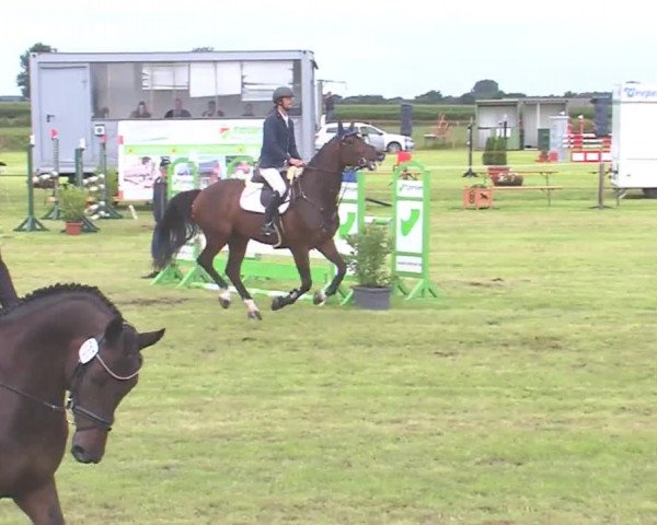 Reitturnier Behrendorf 2016