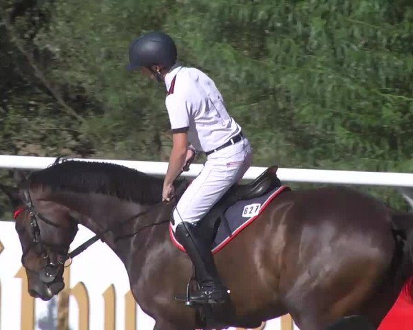 Summermeeting der Springreiter Hachenburg 2016
