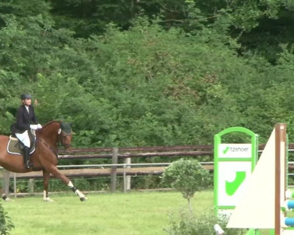 Reitturnier Hamburg-Friedrichshulde 2016