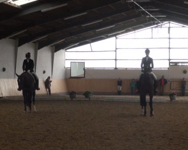 Reitturnier Datteln 2016