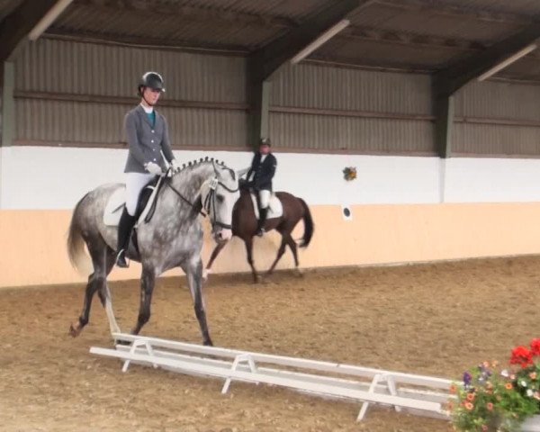 Reitturnier Datteln 2016