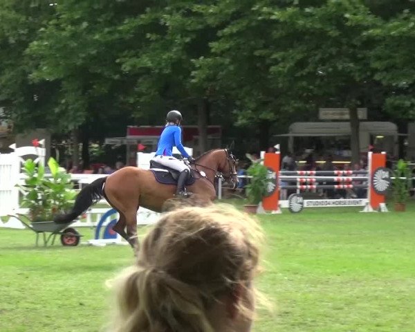 Reitturnier Zobbenitz 2016