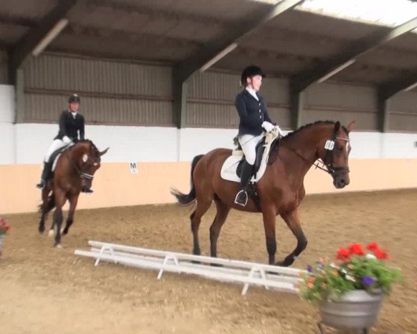 Reitturnier Datteln 2016
