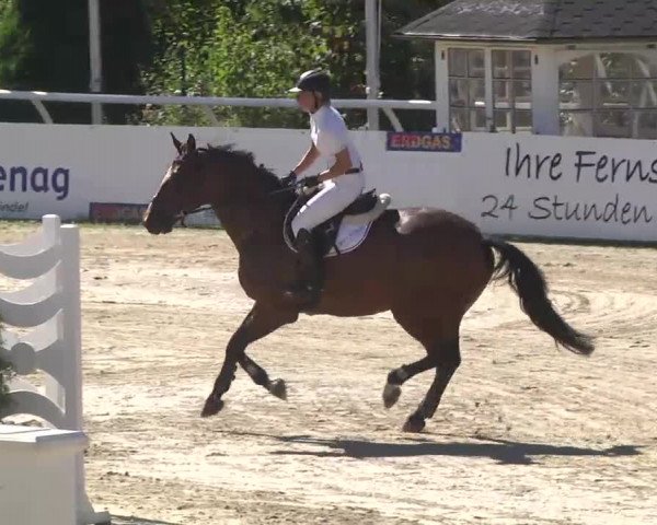Summermeeting der Springreiter Hachenburg 2016