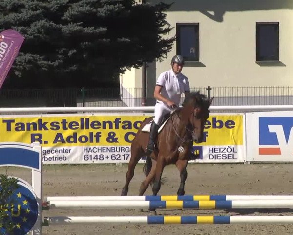 Summermeeting der Springreiter Hachenburg 2016
