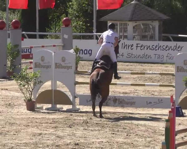 Summermeeting der Springreiter Hachenburg 2016