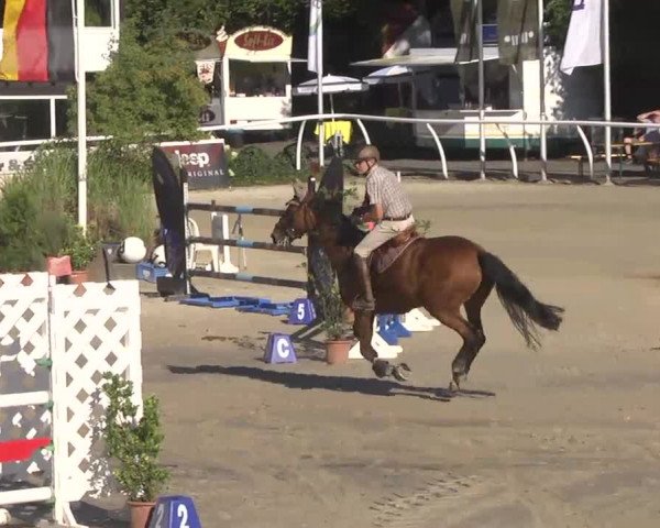 Summermeeting der Springreiter Hachenburg 2016