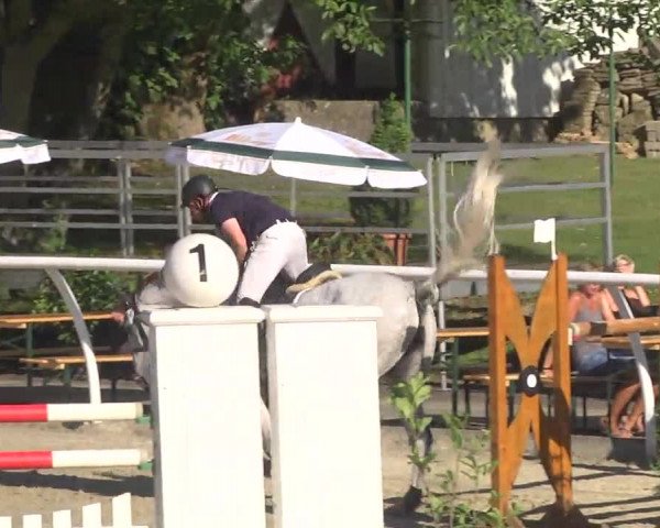 Summermeeting der Springreiter Hachenburg 2016