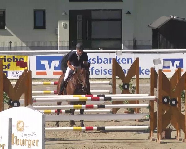 Summermeeting der Springreiter Hachenburg 2016