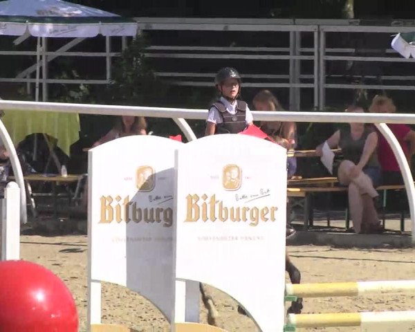 Summermeeting der Springreiter Hachenburg 2016