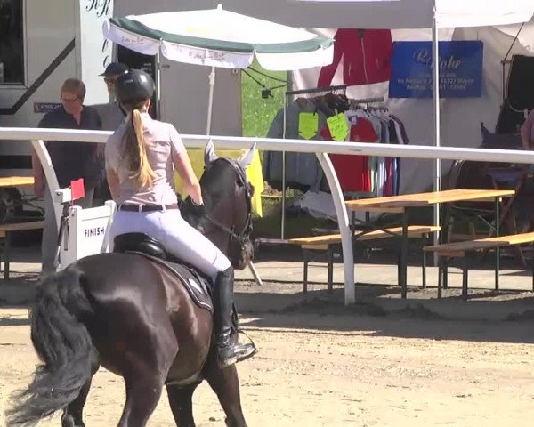 Summermeeting der Springreiter Hachenburg 2016
