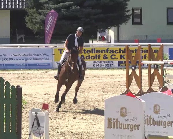 Summermeeting der Springreiter Hachenburg 2016