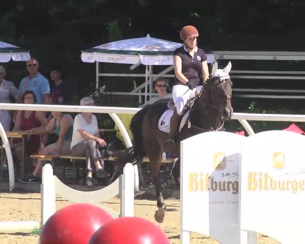 Summermeeting der Springreiter Hachenburg 2016