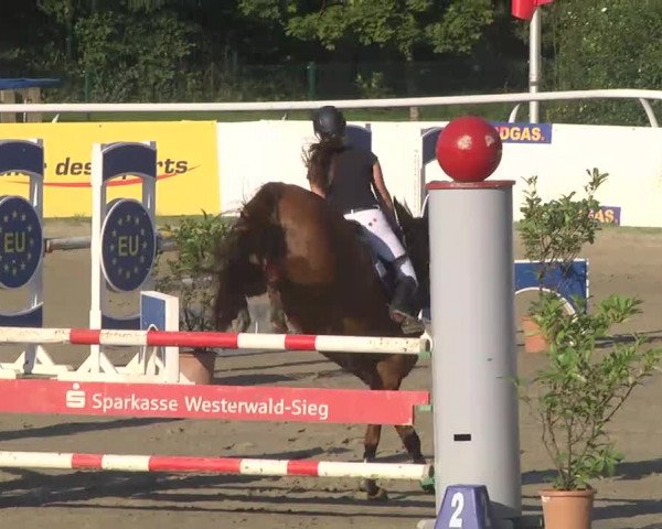 Summermeeting der Springreiter Hachenburg 2016