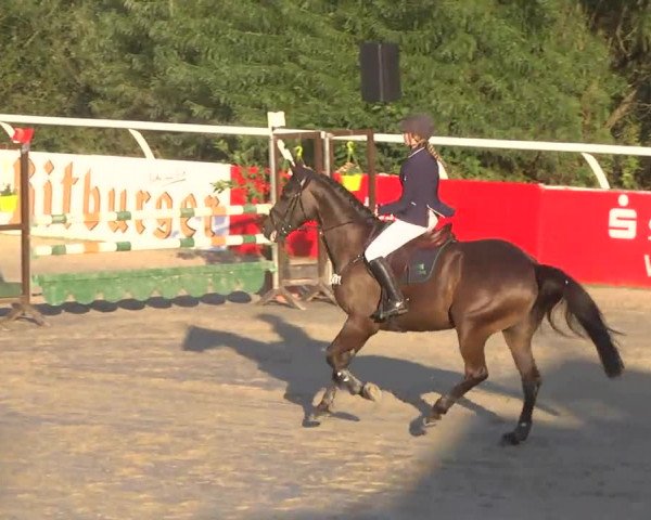 Summermeeting der Springreiter Hachenburg 2016
