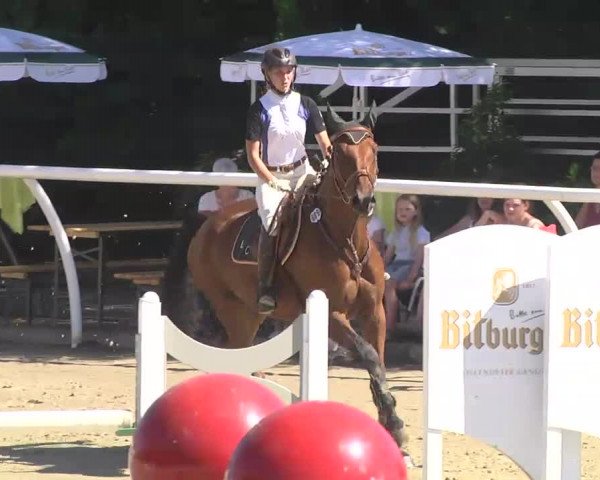 Summermeeting der Springreiter Hachenburg 2016