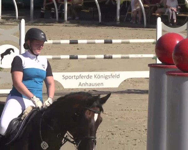 Summermeeting der Springreiter Hachenburg 2016